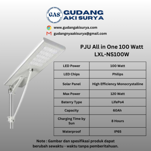 PJU ALL IN ONE 100W